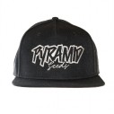 Gorra snapback Pyramid Seeds