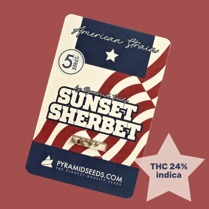 Sunset Sherbet Pack