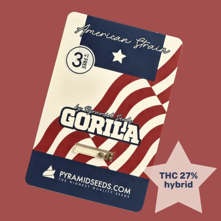Gorila Pack