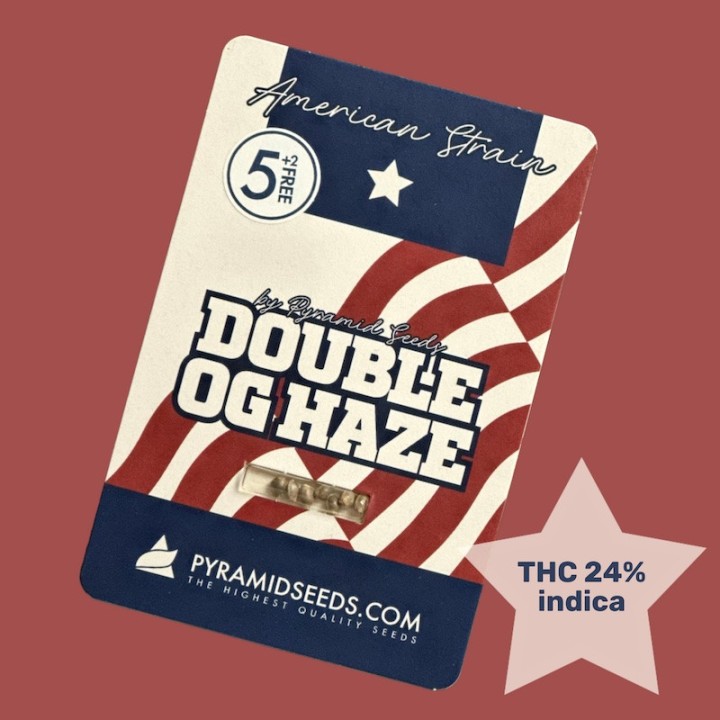 Double OG Haze pack