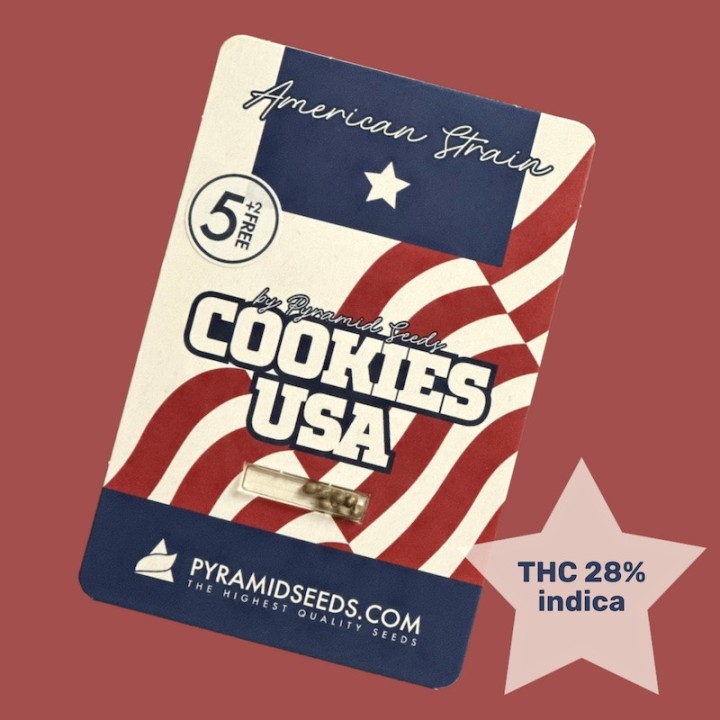 Cookies USA - Variedade lendária, sementes feminizadas | Pyramid Seeds