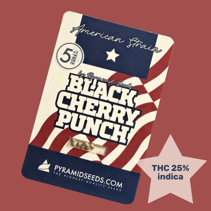 Black Cherry Punch Pack