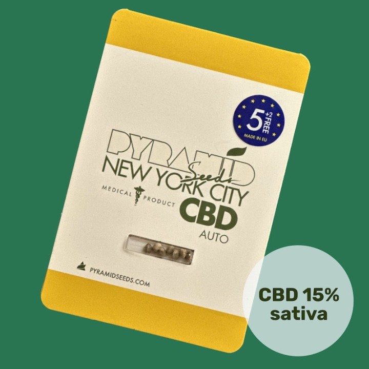 Auto New York City CBD Pack