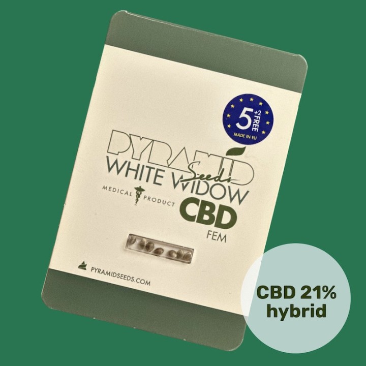 White Widow CBD – variedade lendária com CBD até 21% | Pyramid Seeds