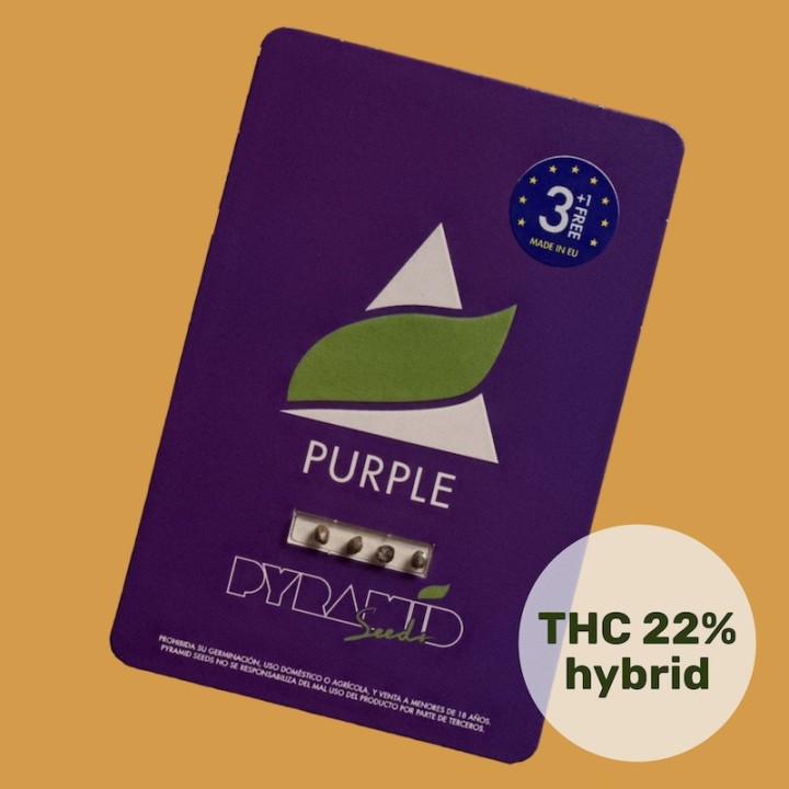 Purple Pack