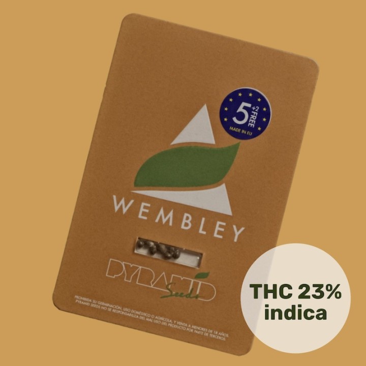 Wembley - Doce aroma de chiclete e potência de AK-47 | Pyramid Seeds