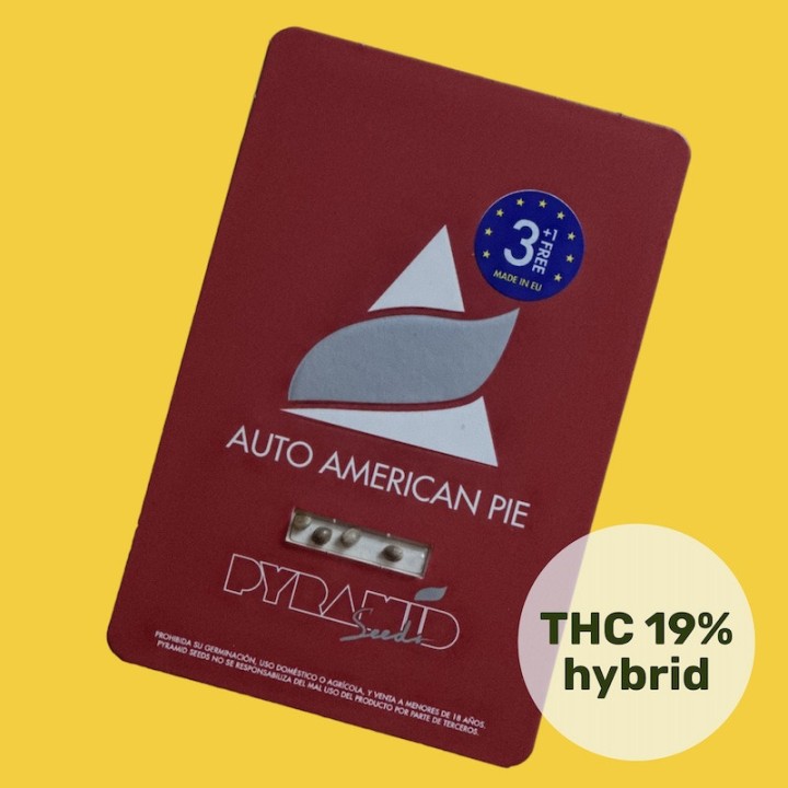 Auto American Pie pack