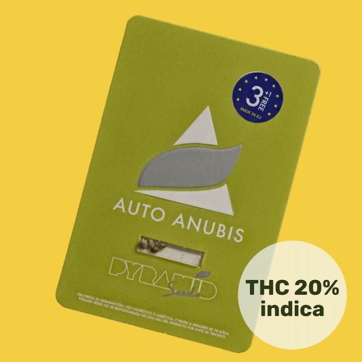 Auto Anubis Pack