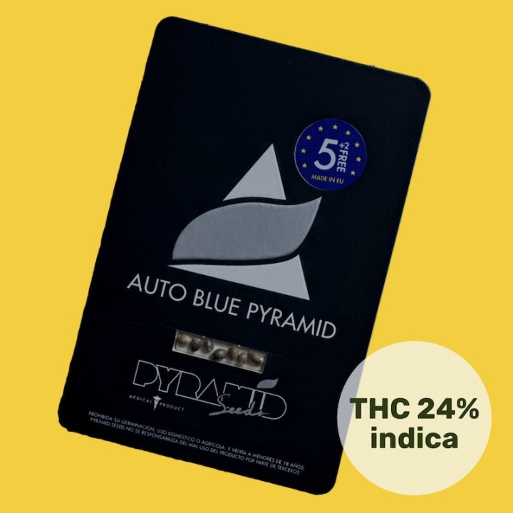 Auto Blue Pyramid Pack