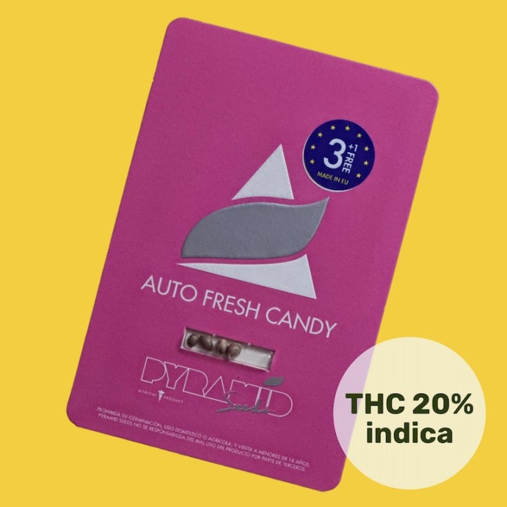 Auto Fresh Candy Pack