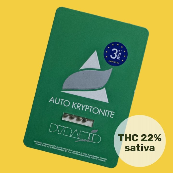 Auto Kryptonite – sativa autofloreciente pura | Pyramid Seeds