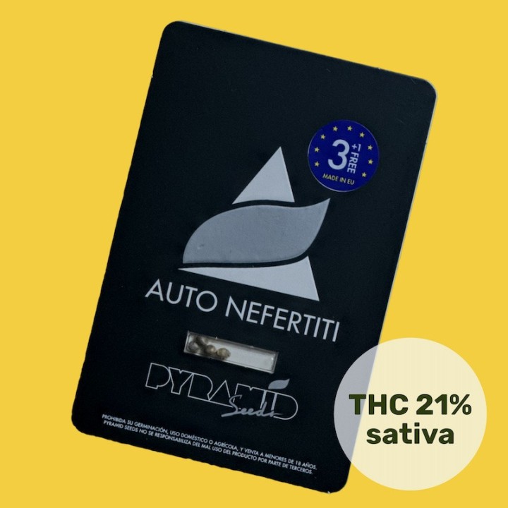 Auto Nefertiti Pack