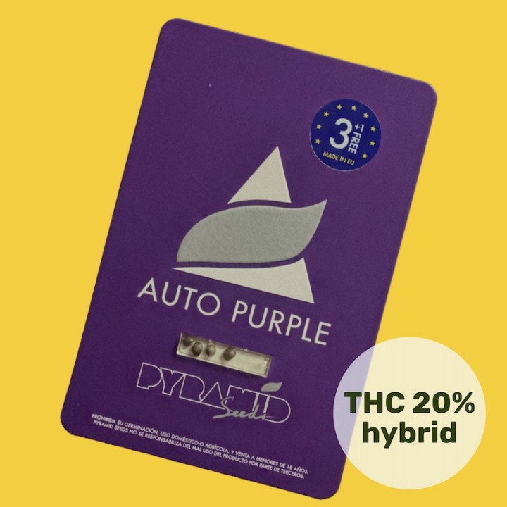 Auto Purple Pack