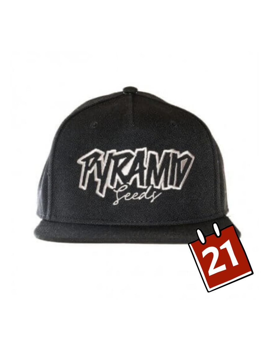 Czapka snapback Pyramid Seeds