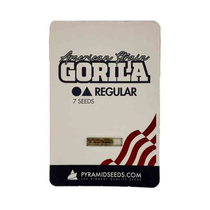 Gorila Regular – Genética híbrida potente com 27% THC | Pyramid Seeds