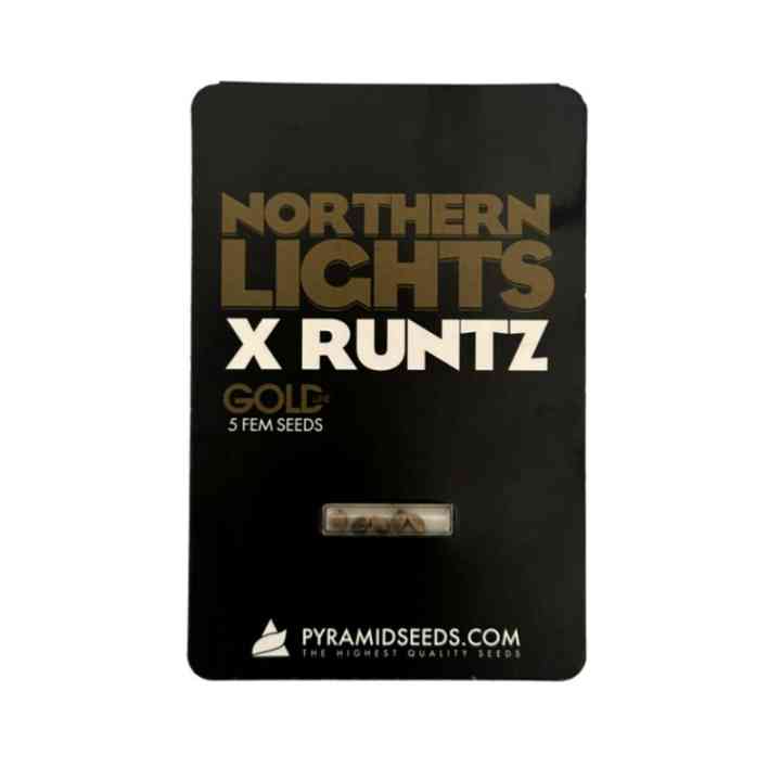 Northern Lights x Runtz – Столкновение Двух Миров | Gold Line