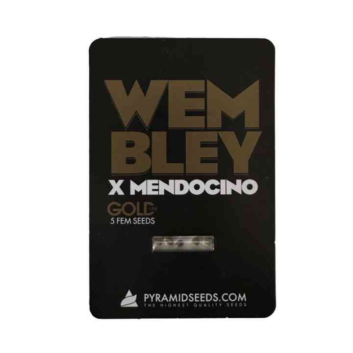 Wembley x Mendocino – Сила Индики в Семенах Конопли | Gold Line