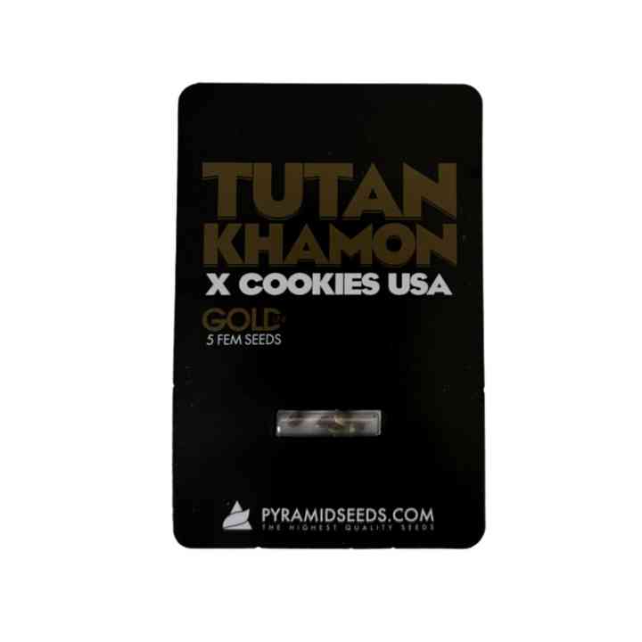 Tutankhamon x Cookies USA – A Fusão de Duas Lendas | Gold Line