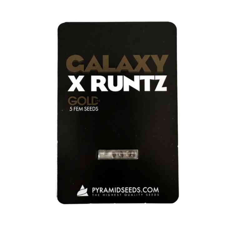 Galaxy x Runtz – Космический Урожай и Супер Мощность | Gold Line
