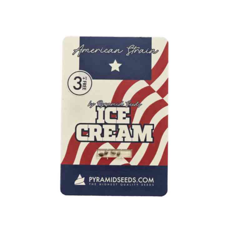 Ice Cream – genética americana com alto THC | Pyramid Seeds