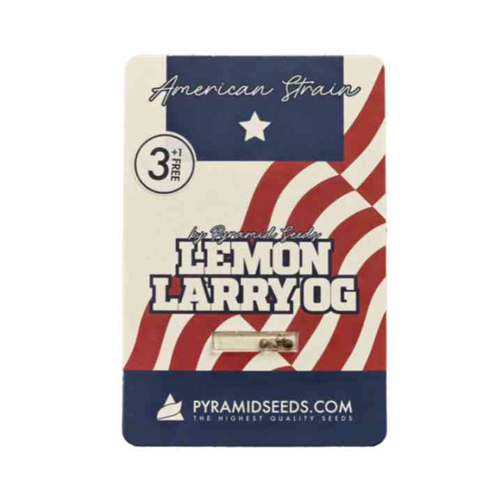 Lemon Larry OG – variedade americana com genética Kush | Pyramid Seeds