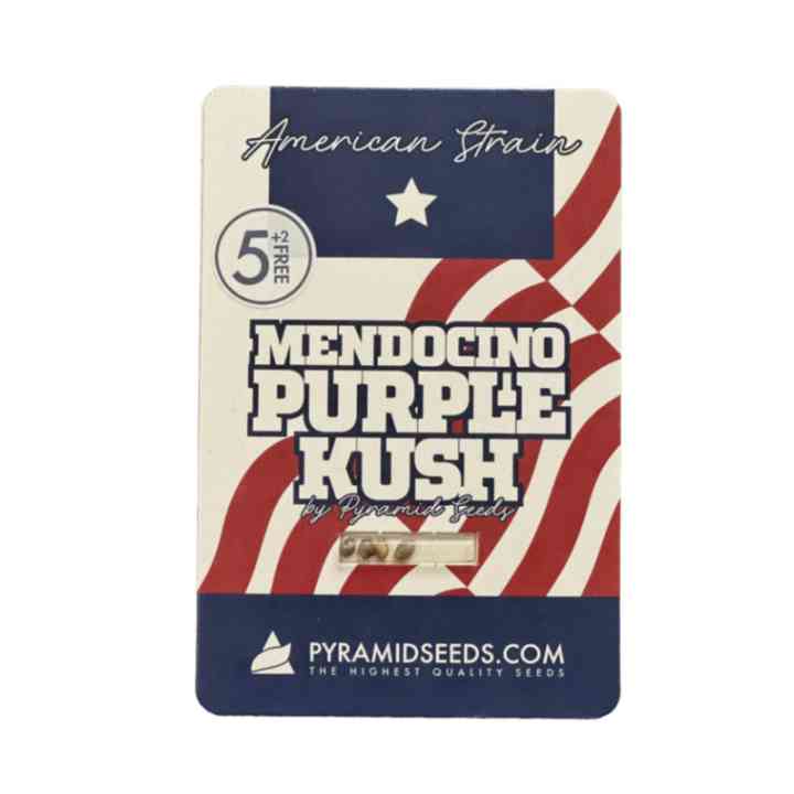 Mendocino Purple Kush – índica roxa com THC 23% | Pyramid Seeds