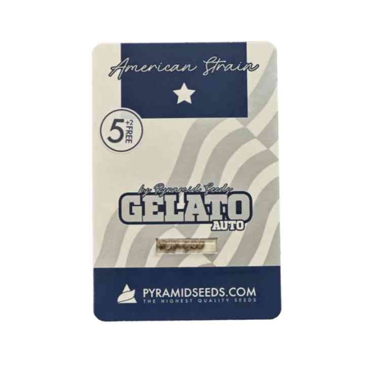 Auto Gelato – amerykańska odmiana na gorące noce | Pyramid Seeds