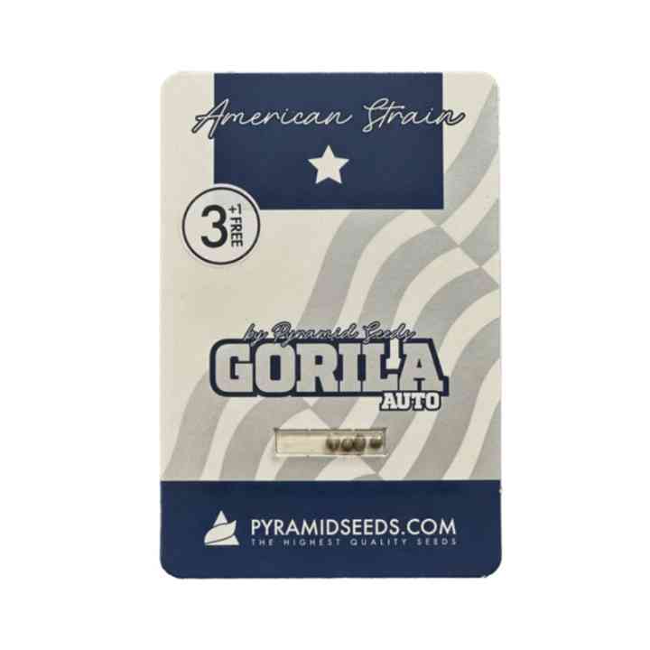Auto Gorila – гибрид из США для страсти и секса | Pyramid Seeds