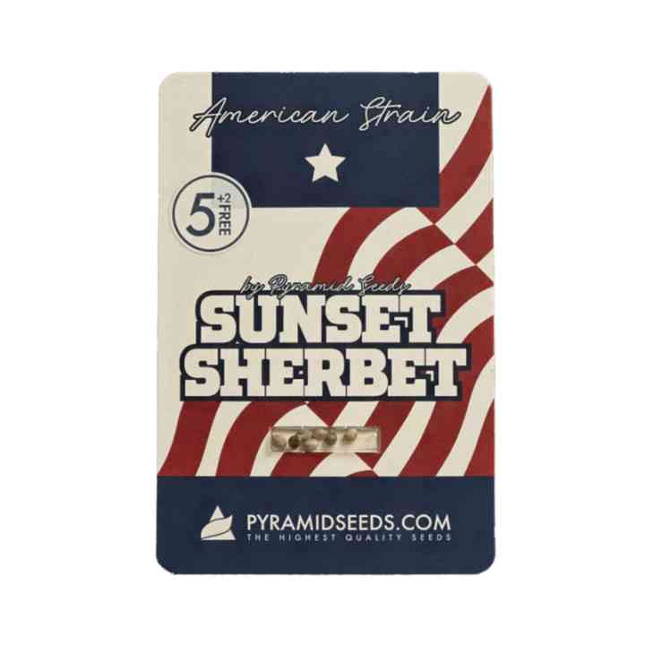 Sunset Sherbet – variedade americana para inspiração | Pyramid Seeds