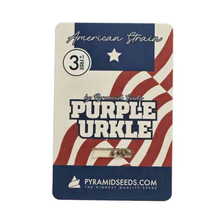 De ícone das sitcoms a ícone da cannabis: Purple Urkle | Pyramid Seeds