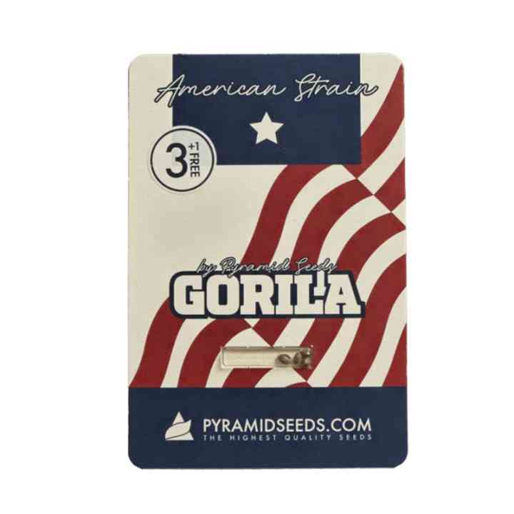 Gorila - potente genética americana. THC 25-27% | Pyramid Seeds
