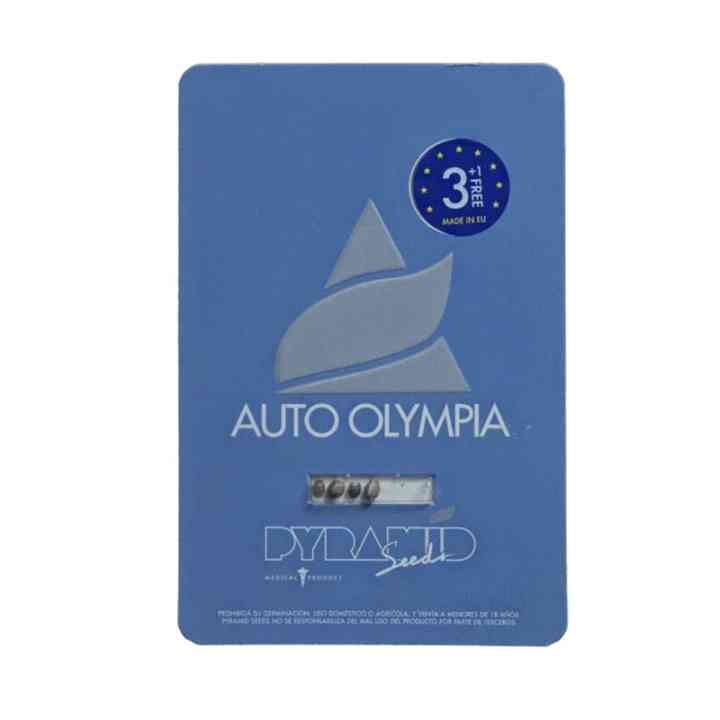 Auto Olympia - сбалансированный гибрид для новичков | Pyramid Seeds