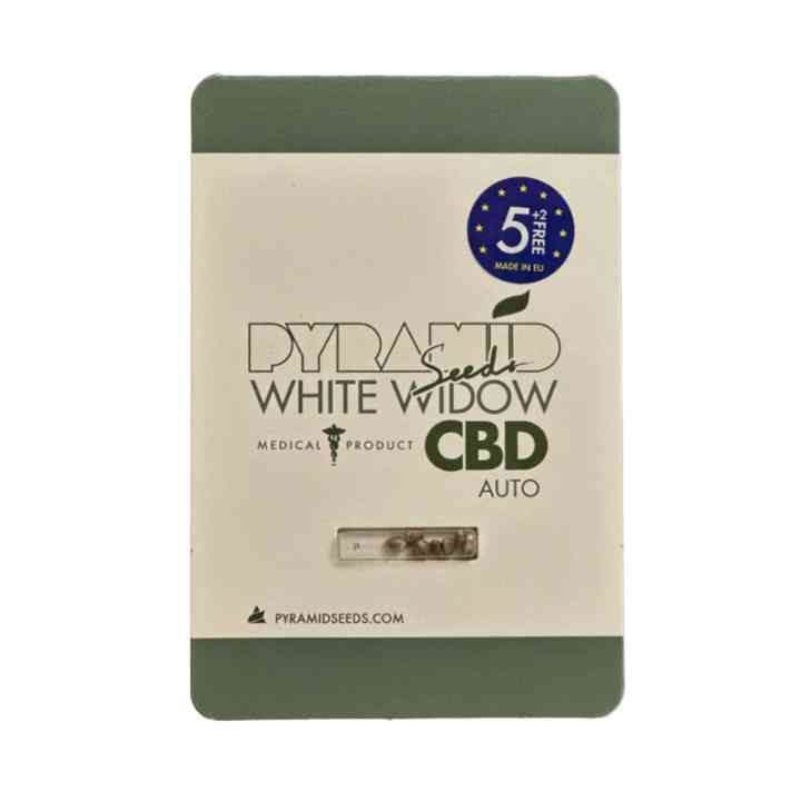 Auto White Widow CBD - varietà medicinale antistress | Pyramid Seeds