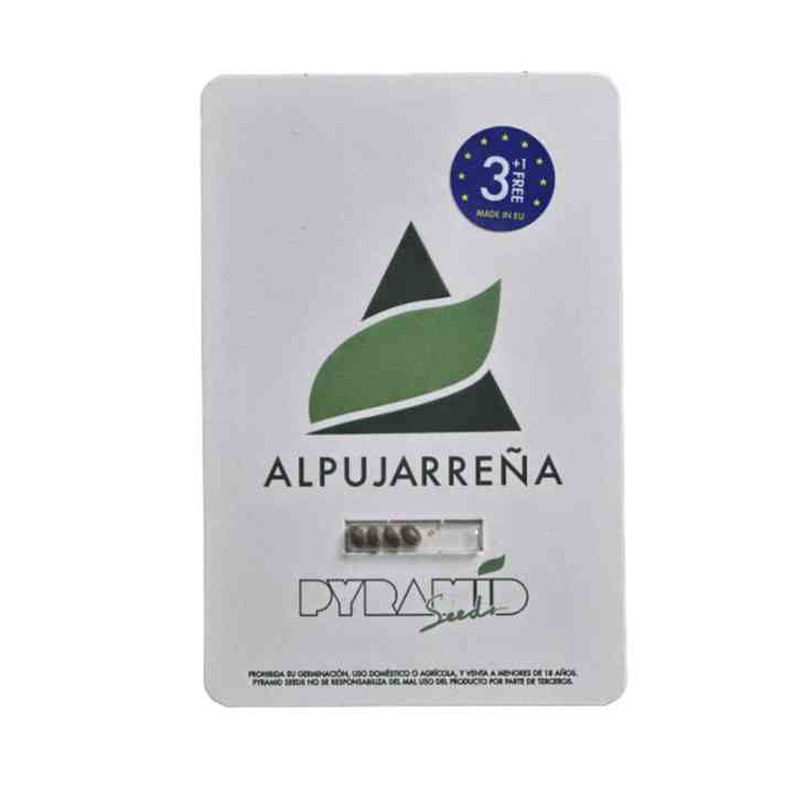 Alpujarrena - o sabor do sol em cada tragada | Pyramid Seeds