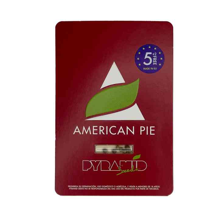 American Pie - Novo padrão de produtividade | Pyramid Seeds