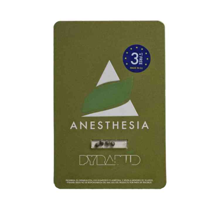 Anesthesia - ¡Adiós, insomnio! | Pyramid Seeds