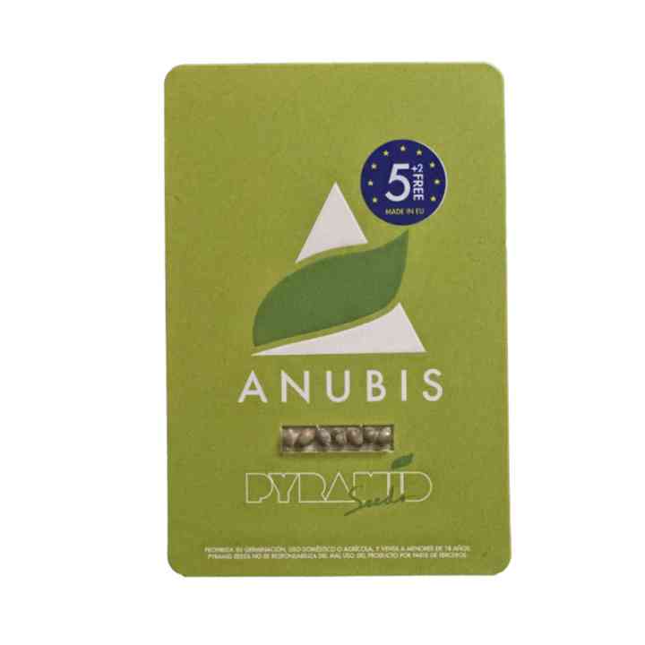 Anubis - O lado sombrio da força | Pyramid Seeds