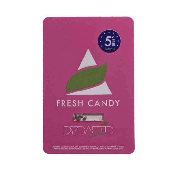 Fresh Candy – Uma revolução doce no mundo da cannabis! | Pyramid Seeds