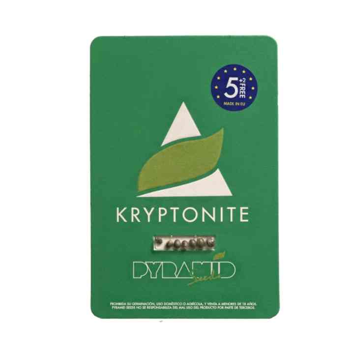 Kryptonite - A sativa mais rápida do planeta! | Pyramid Seeds