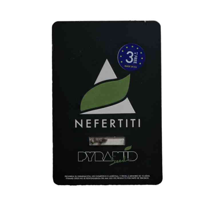 Nefertiti - чемпионка, королева каннабиса | Pyramid Seeds