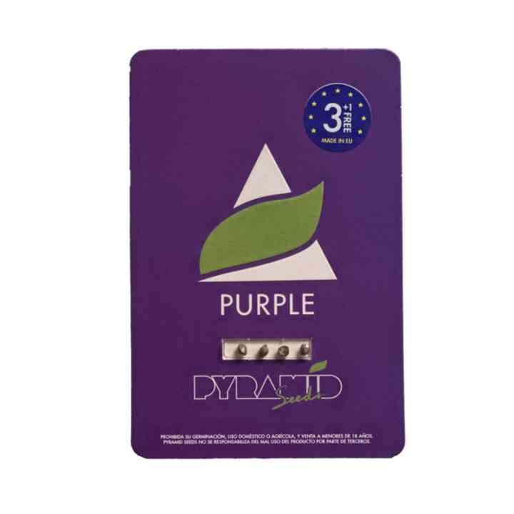 Purple - Фиолетовый рай для гроверов | Pyramid Seeds