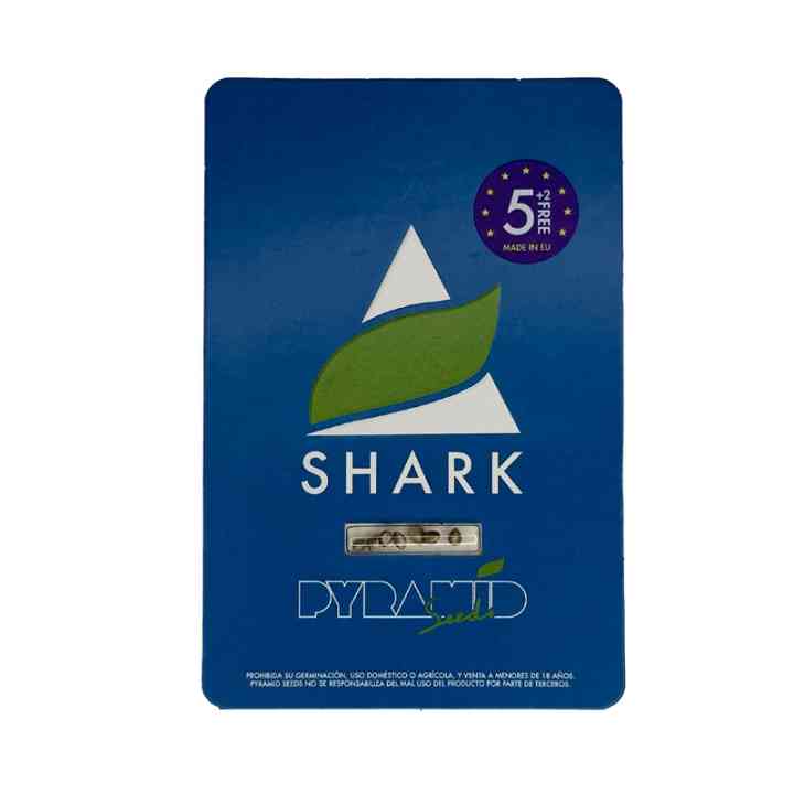 Shark Seeds – Fast NL x Skunk Indica | Pyramid Seeds