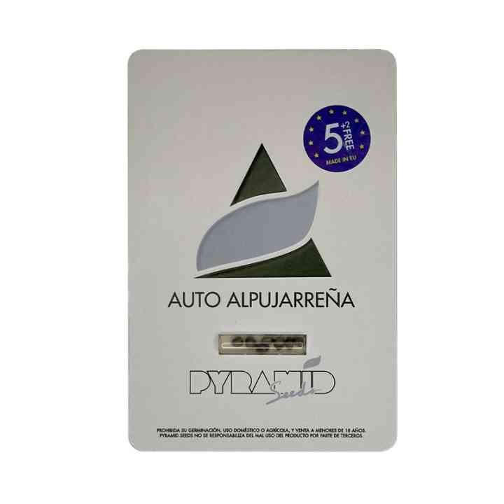 Auto Alpujarreña – неприхотливый сорт каннабиса | Pyramid Seeds