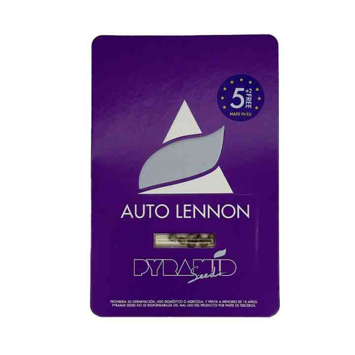 Auto Lennon – samonakvétací sativa s THC až 24% | Pyramid Seeds