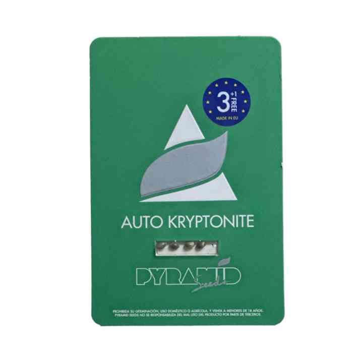 Auto Kryptonite – sativa autofiorente pura | Pyramid Seeds