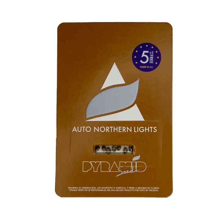 Auto Northern Lights – legendární a silná indika | Pyramid Seeds