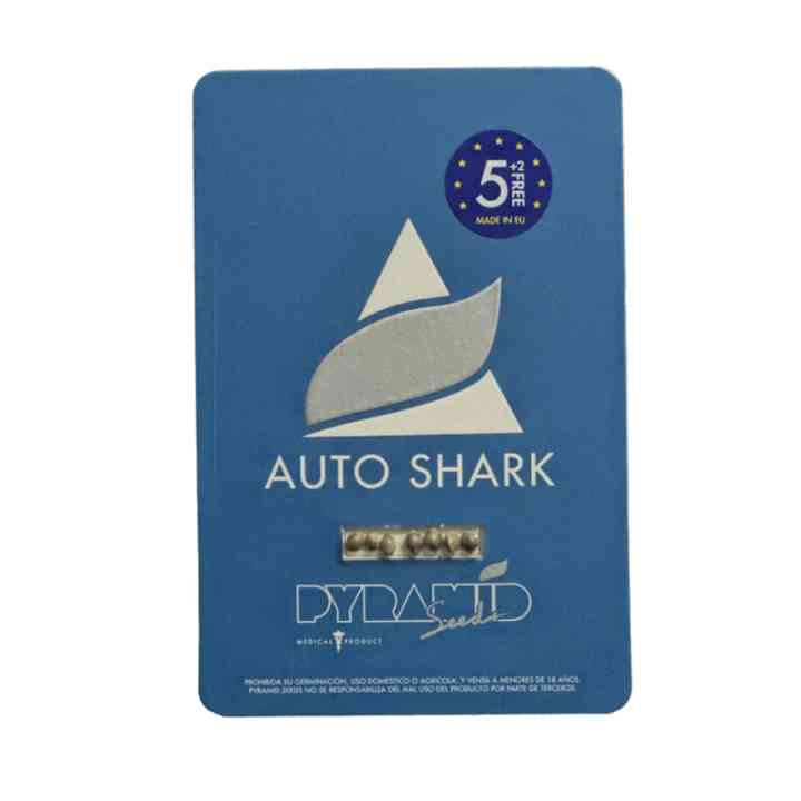 Auto Shark – una interpretación moderna de un clásico | Pyramid Seeds