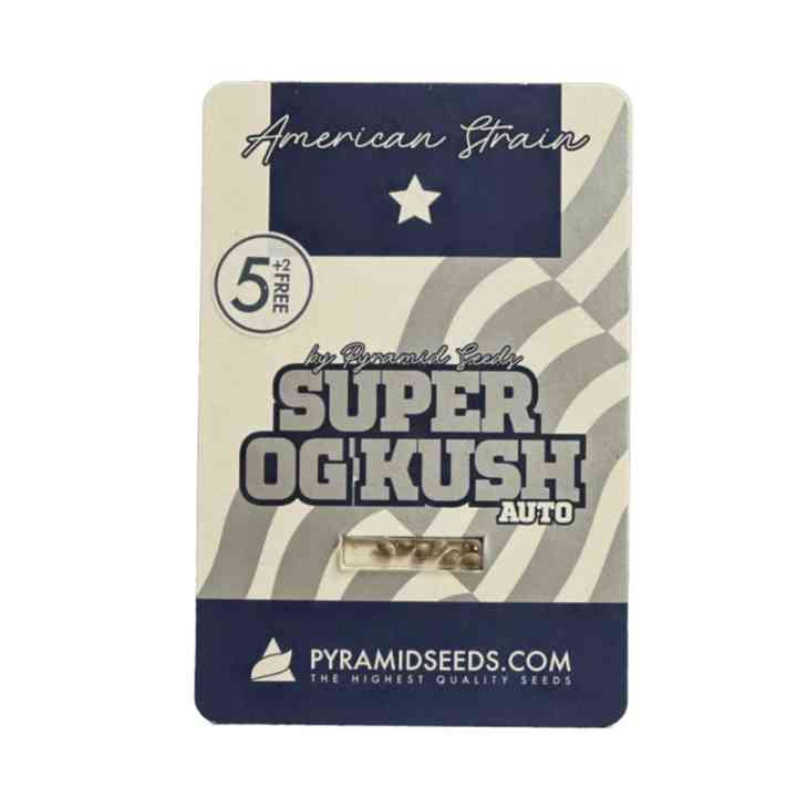 Auto Super OG Kush - Semi autofiorenti con alto THC | Pyramid Seeds