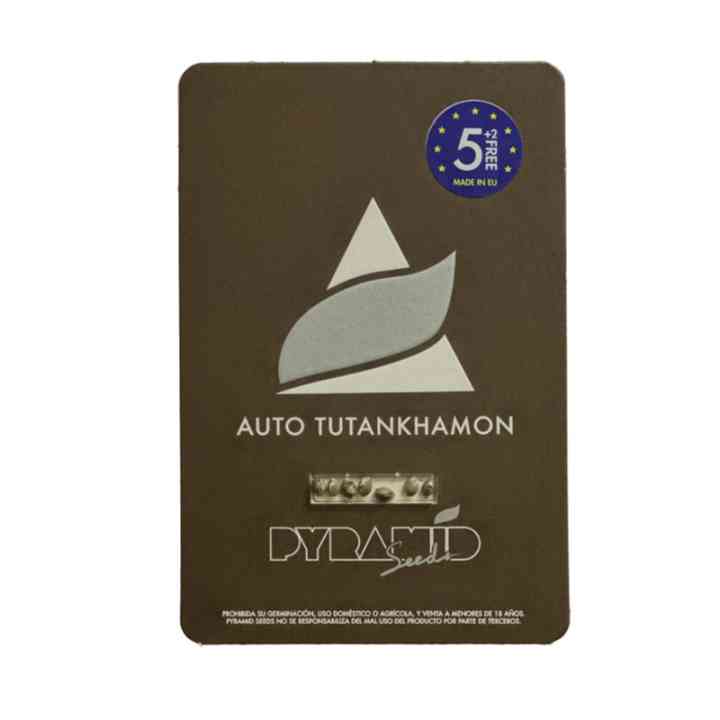 Auto Tutankhamon - legendario autofloreciente | Pyramid Seeds