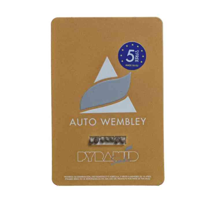 Auto Wembley - Уникальный автоцвет с ароматом жвачки | Pyramid Seeds